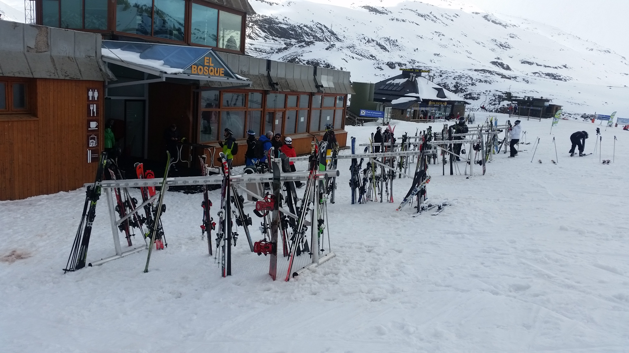 Apoya ski aluminio 3